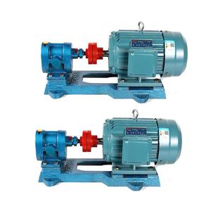 2cy油循环抽油 卧式 2CY齿轮油泵铸铁整机 保温齿轮泵