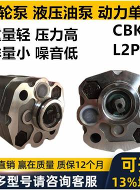 液压泵齿轮油泵L2P-FCBK-F1.11.62.12.66.34.24.85.8