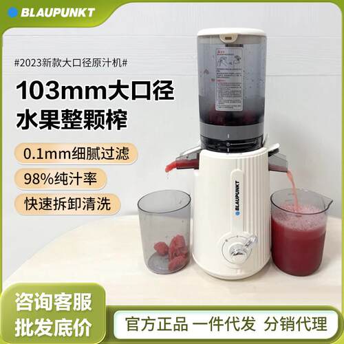 德国蓝宝榨汁机YJ01汁渣分离原汁机家用小型全自动炸汁机