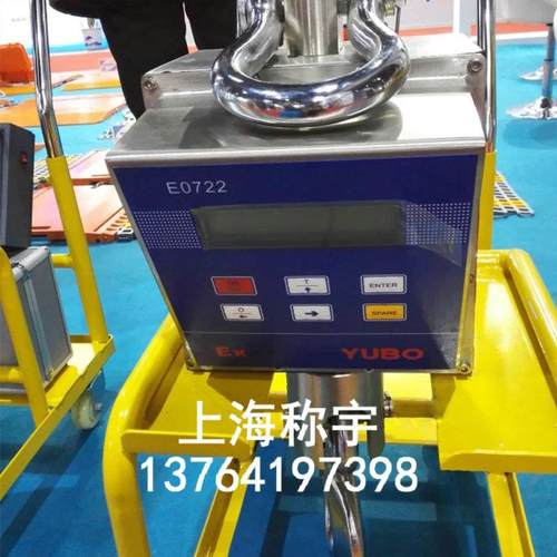 称宇10t防爆电子吊秤防爆区域专用本安型电子吊钩秤10吨防爆吊磅