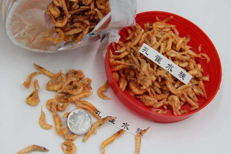 好京彩去头去尾无尖刺干虾南磷虾虾干500g罗汉鹦鹉龙鱼地图干虾