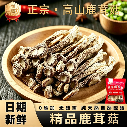 禾菇娘精品头茬高山鹿茸菇甄选