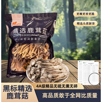 禾菇娘4A精品鹿茸菇500g无硫无熏