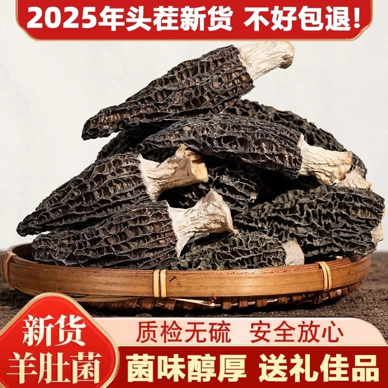 禾菇娘精品羊肚菌当季头茬新货