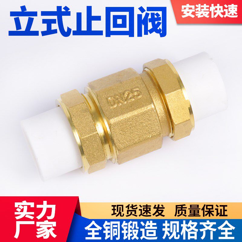 PPR水管配件20/25/32双活接全铜止回阀4分6分1寸黄铜逆止阀单向阀