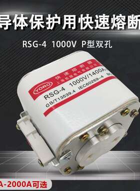 RSG-4 1000V/1000A1250A1400A1600A1800A2000A快速熔断器BC100KA