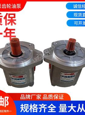 齿轮油泵CBK1016-B1FR四川长江液压泵CBK1012-B2TL高压泵动力油泵