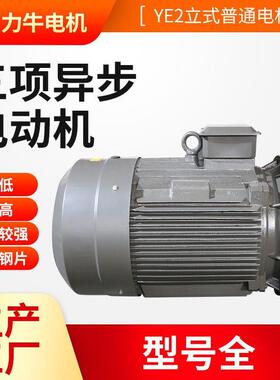 三相异步电动机Y200L-8-15 Y225S-8-18.5 Y225L-8-22立式交流电机