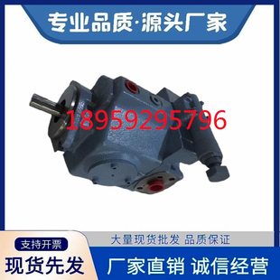 P7量V变P东京V16V 1P3 器P泵计MP油泵V 叶片泵 40柱8塞21V0