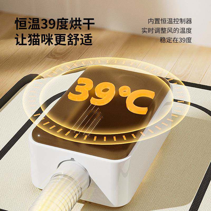 宠物烘干箱烘干机猫咪洗澡吹干家用小型静音吹毛吹风狗狗烘干机