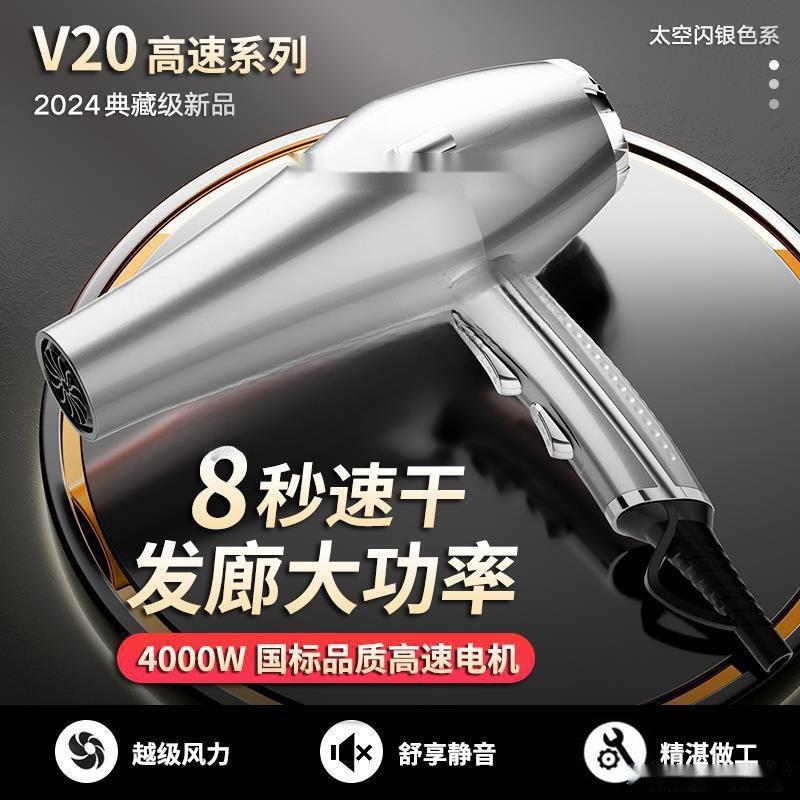 德国电吹风机家用大功率发廊理发店负离子护发速干风筒可包邮