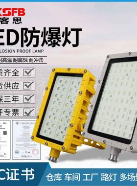 BFC8115LED泛光灯60W厂房隔爆型投光灯100W户外防水路灯式防爆灯