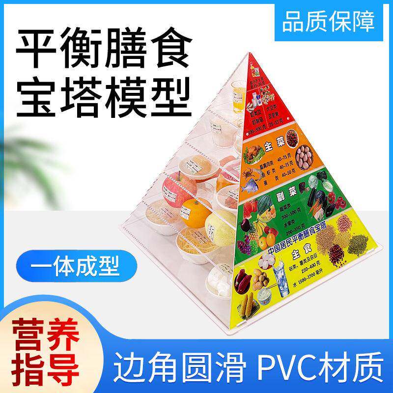 2022中国居民均衡营养膳食宝塔模型 仿真食品营养食物模型 带桌子