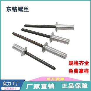 6.4元 GB12615铝铁封闭型平圆头抽芯铆钉 4.8 头拉铆钉 密封3.2