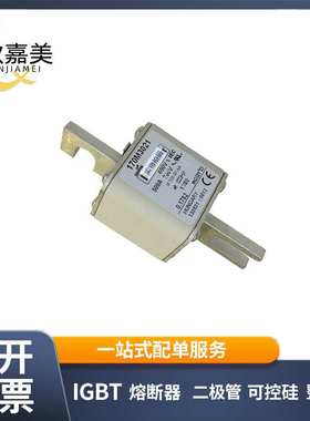 170M3021 170M3023  快速熔断器  电子元器件 型号齐全 量大价优