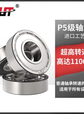 110606060 泰8 轴承60ZZRS10   60代替UL20进口P507T129级60鲁