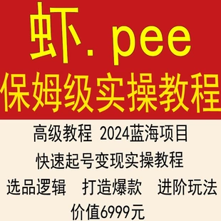 shopee虾皮运营课程零基础初中高级开店店铺装修后台操作视频教程