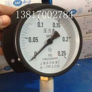 上海天川仪表Y-100T径向带边压力表0-0.25MPA船用压力表带后边