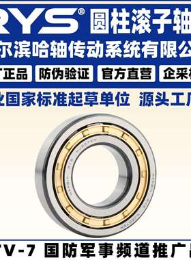 RYS 哈轴传动 N RN NF NU NJ NUP 211 212 213 M EM 圆柱滚子