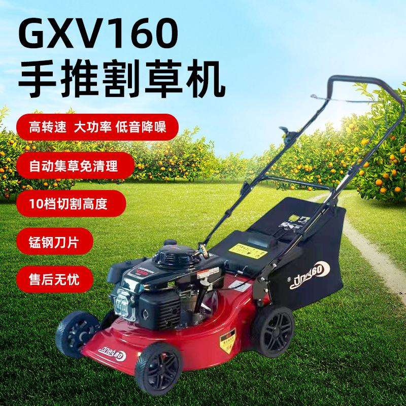 原装GXV160四冲程草坪机钢底盘手推式剪草机庭院除草机割草机