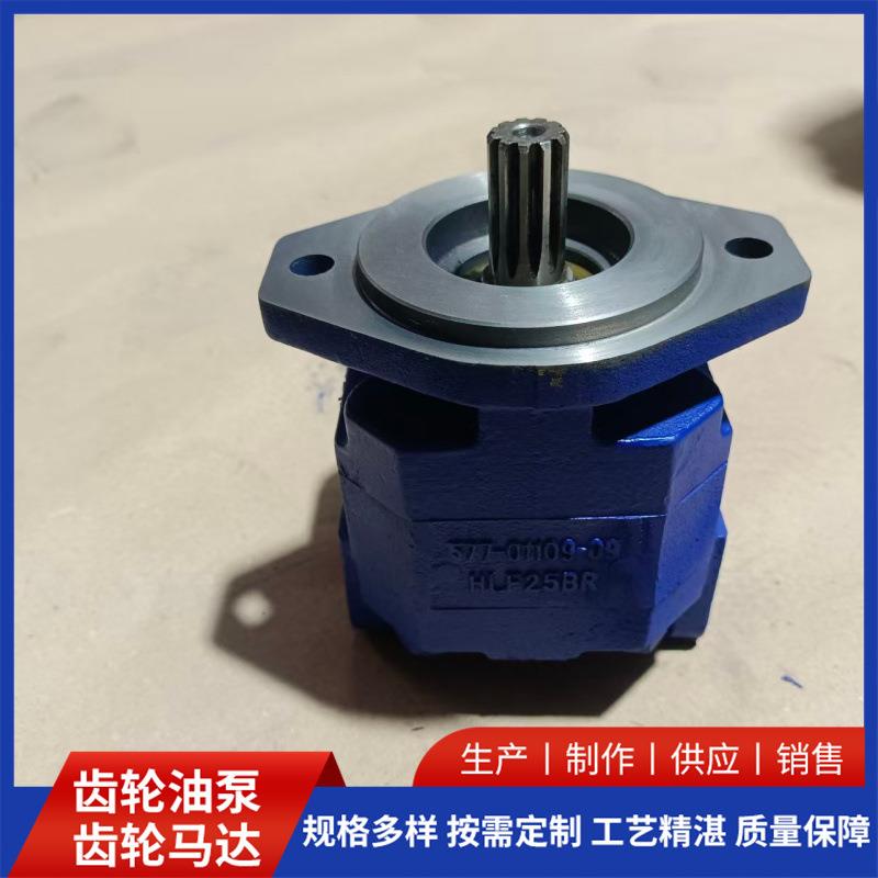 齿轮泵厂家P124A082RZA07-81压力稳定液压齿轮油泵啮合紧密