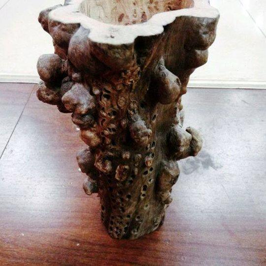 新疆胡杨木根雕笔筒工艺品