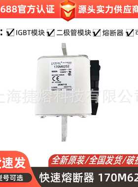 170M6252  170M6253 快速熔断器  保险丝 电子元器件 量大价优