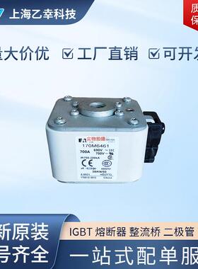 巴斯曼熔断器 170M6461 170M6462 170M6463 170M6464 170M6465