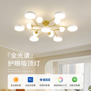 北欧202d3新款 流行客厅大厅主灯现代简约大气高级感超亮吸顶吊灯0
