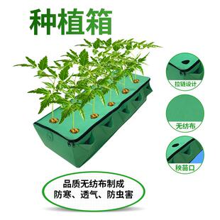毛毡种植箱无纺布果蔬种植箱植物生长袋顶楼阳台花卉长方形种植盆