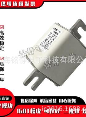 170M5158 170M5159 170M5160 170M5161 170M5162熔断器170M5163