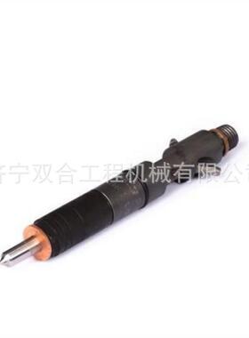 喷油嘴 喷油器10000-02456 10000-00270 1000002456 1000000270