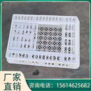 鸡筐 塑料鸡筐 加厚耐摔鸡鸭运输笼 鸡运输笼 商品鸡周转笼