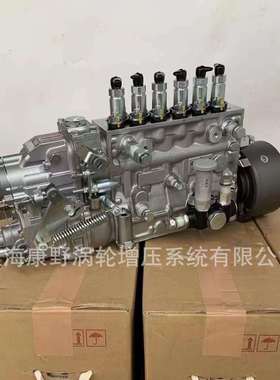 适用五十铃6hk1喷油泵 F01G00506C F01G00506D 6P120/721LS3000