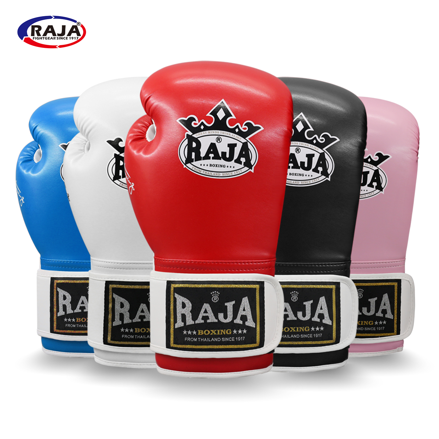 RAJA拳击手套入门款成人专业拳套