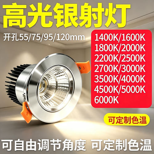 高光银嵌入式COB射灯可定制色温