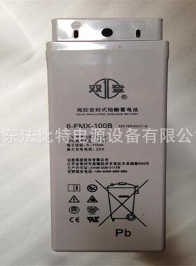 双登狭长蓄电池6-FMX-100B/12V100AH通讯基站/狭长6-FMX-100B