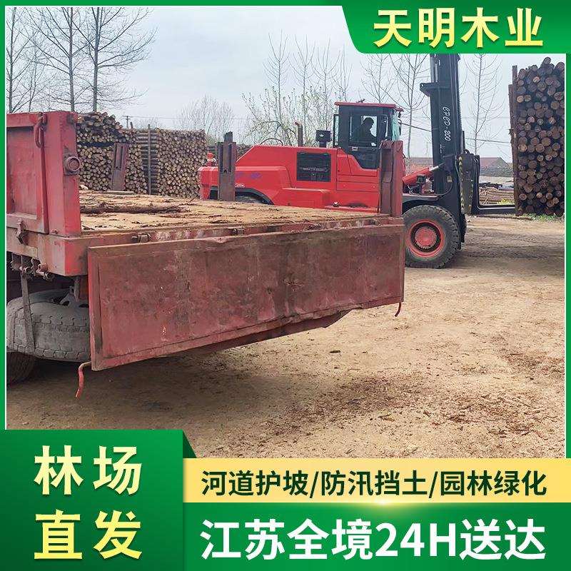 杉木桩原木 河道打桩木杉汛期防洪木桩 园林道路绿化杉木支撑杆