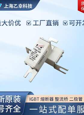 巴斯曼熔断器 170M1730 170M1731 170M1732 170M1733 170M1734