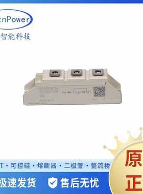 SKKD81/12L1  SKKD81/16  SKKD81/18  SKKD81/12功率可控硅二极管