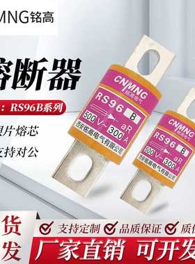 RS96B系列AC500VaR300A圆管螺栓连接式半导体保护用快速熔断器