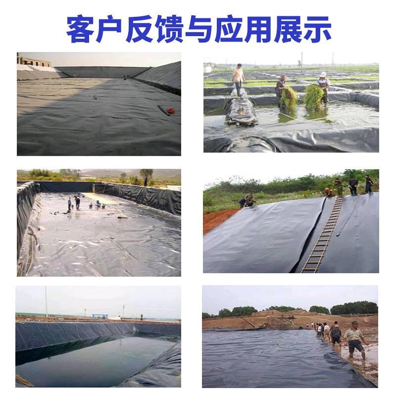 鱼塘膜黑色塑料薄膜养殖膜专用鱼池防渗膜防水膜藕池防渗膜土工膜