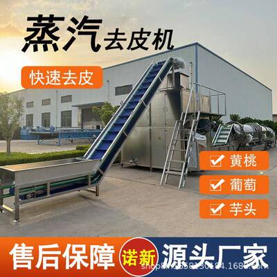 诺新机械果蔬蒸汽去皮机高温爆皮脱皮设备葡萄黄桃去皮