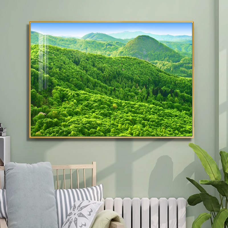 有山无水大山装饰画招财客厅沙发背景墙画青山图背有靠山餐厅挂画
