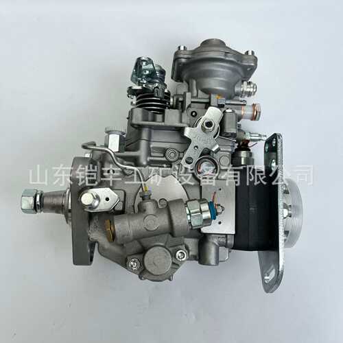 0460424348 3963961 VE4／12F1100R963-3柴油泵 厂家供应