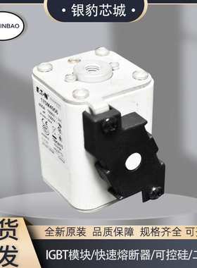 170M4956 170M4957 170M4958 170M4959 170M4960现货熔断器保险丝