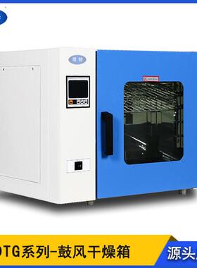 实验室小型电热恒温鼓风干燥箱DTG-9013A不锈钢热风循环烘箱