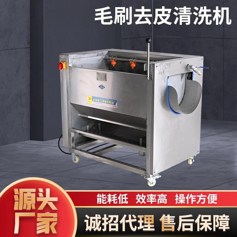 全自动土豆毛辊去皮清洗机红薯清洗设备橙子去皮机毛刷去皮清洗机