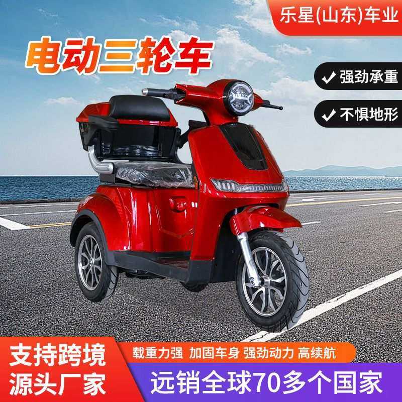老年人新款电动三轮车外贸出口家用休闲成人拉货迷你电动代步车