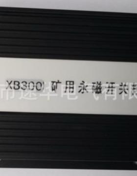 HYT300-MS 永磁开关控制器(XB300-MS)(XB300)